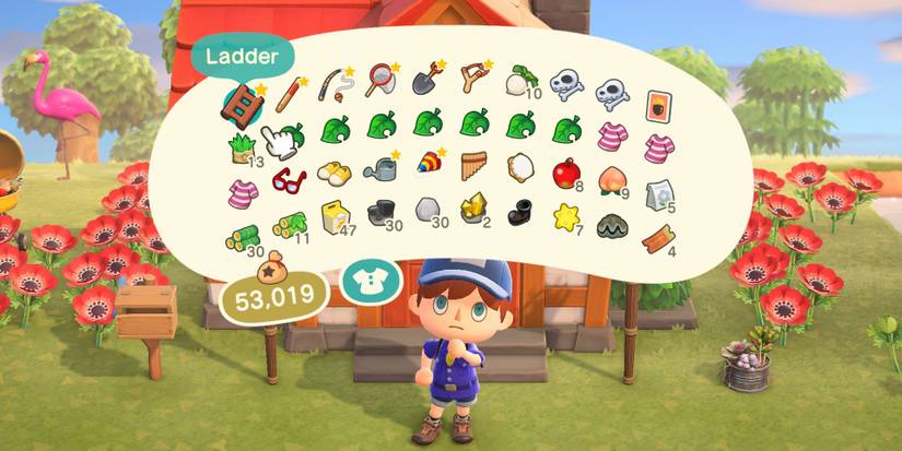 animal-crossing-new-horizons-guide-ultimate-pocket-stuffing-four-rows-inventory Cropped