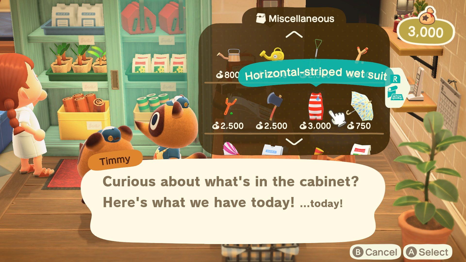 Animal Crossing New Horizons Adding Wet Suits to Nook's Cranny