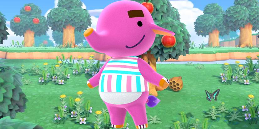 animal crossing new horizons