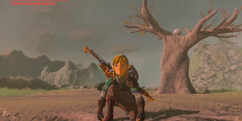 the legend of zelda breath of the wild