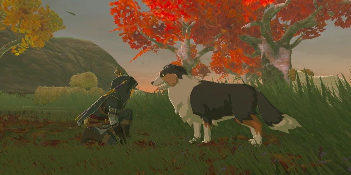 Playing Fetch in BOTW