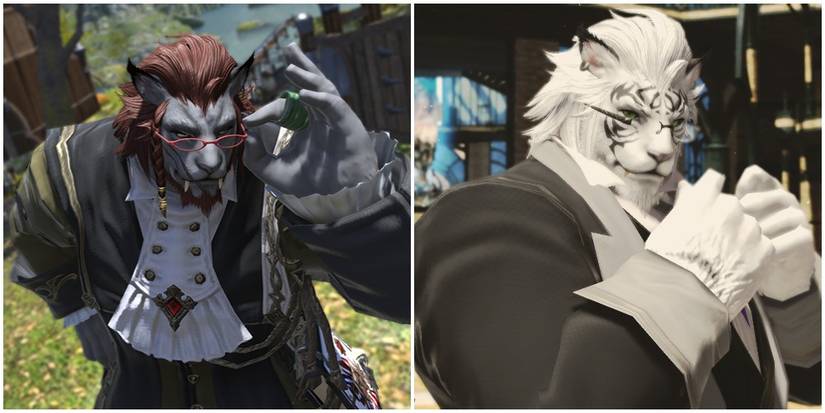 final fantasy XIV hrothgar glasses