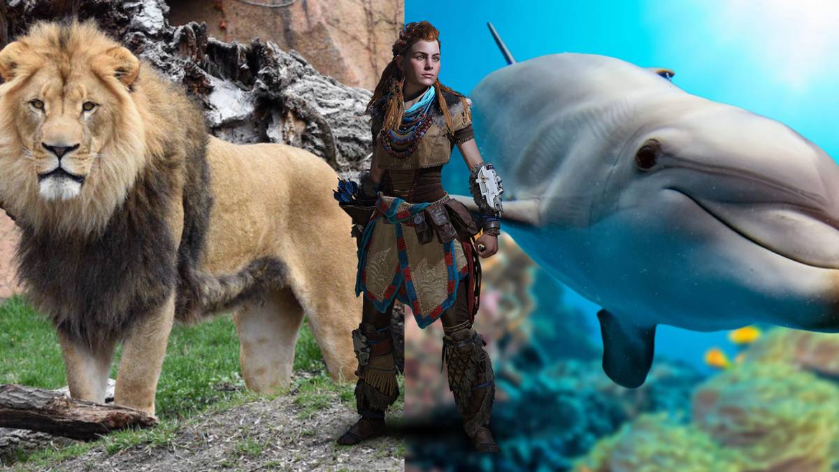 horizon zero dawn guerrilla games sequel ps5