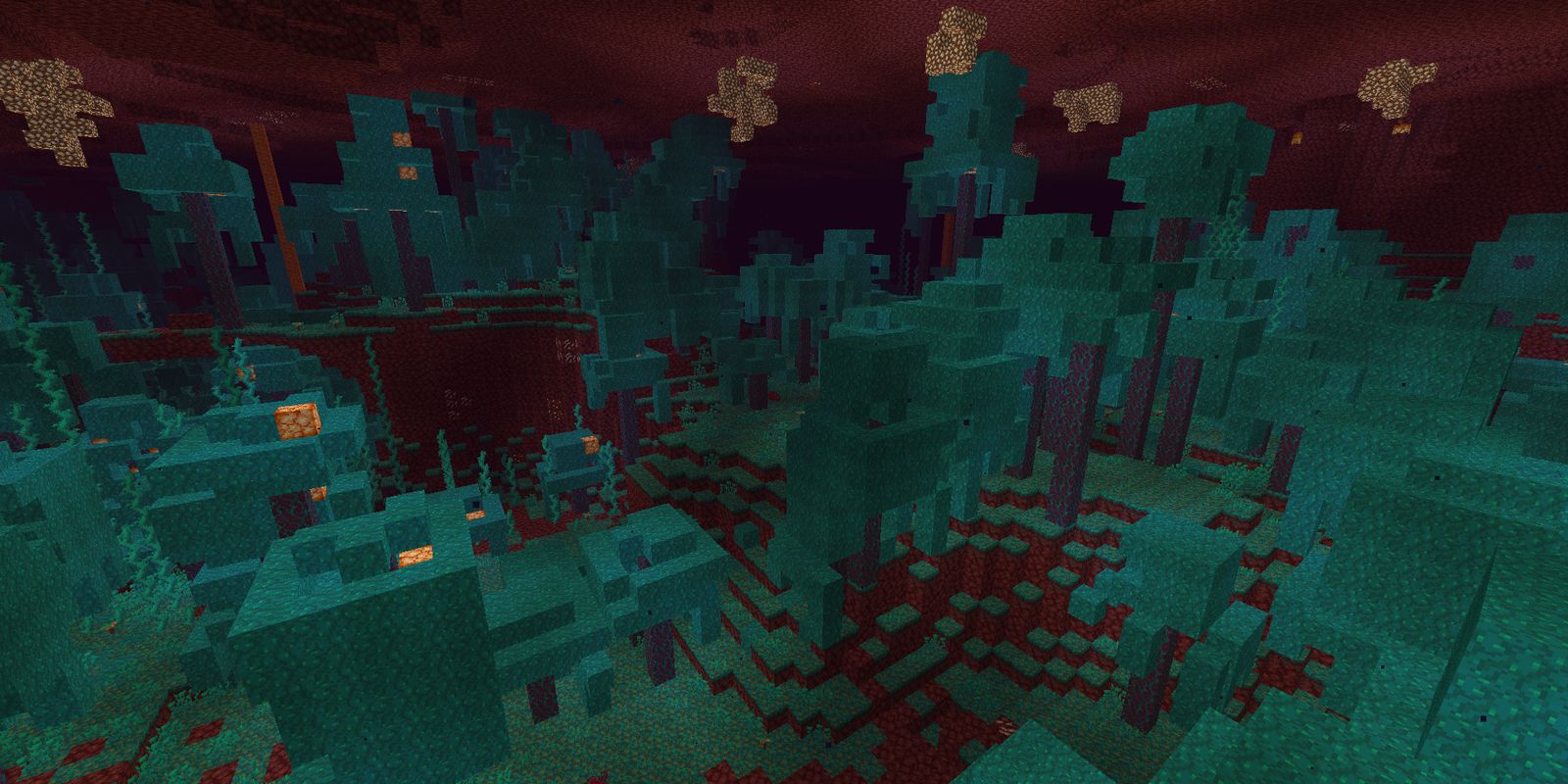 Minecraft Nether Warped Forest Biome