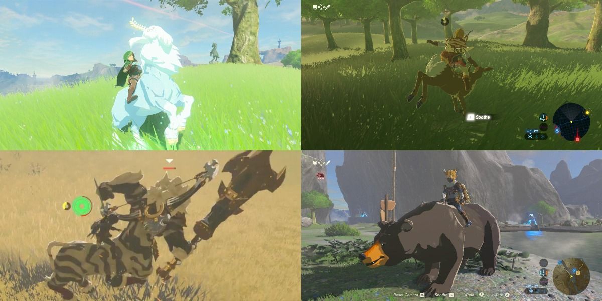 Link Riding Animals