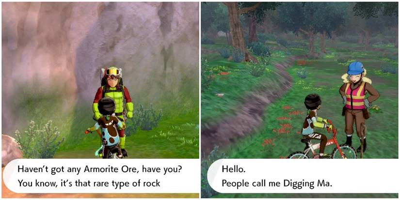 pokemon isle of armor digging parents