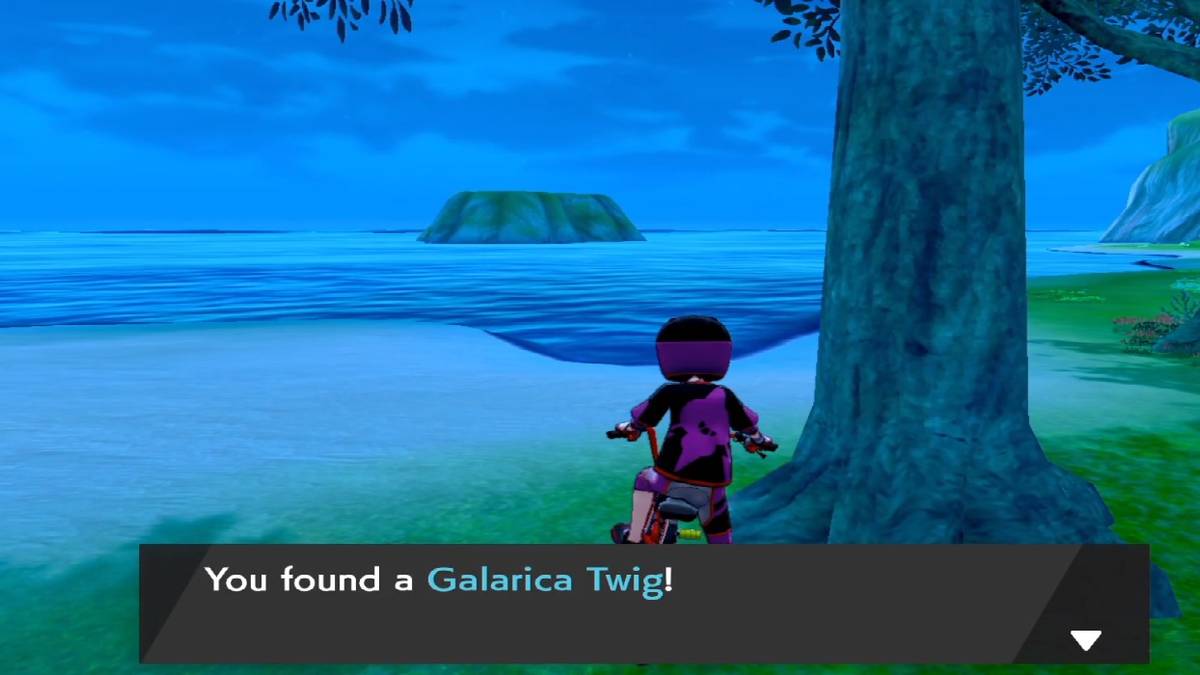pokemon sword and shield galaric twig under tree