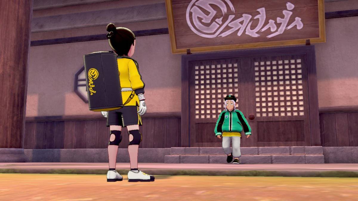 Pokemon Sword and Shield Isle of Armor Pokemon Follow