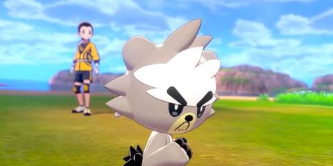 pokemon sword shield kubfu release nintendo