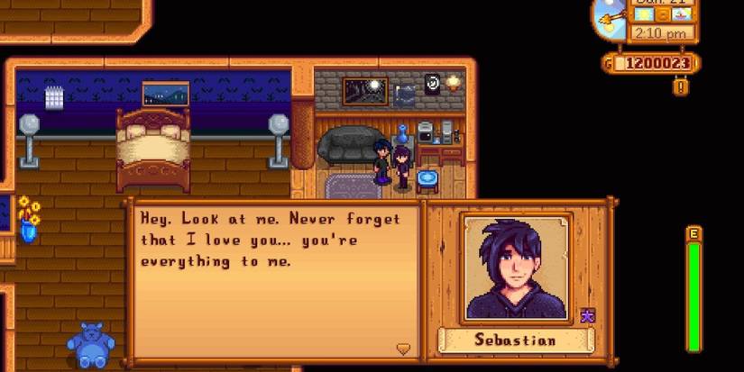 Sebastian saying he loves the player in Stardew Valley