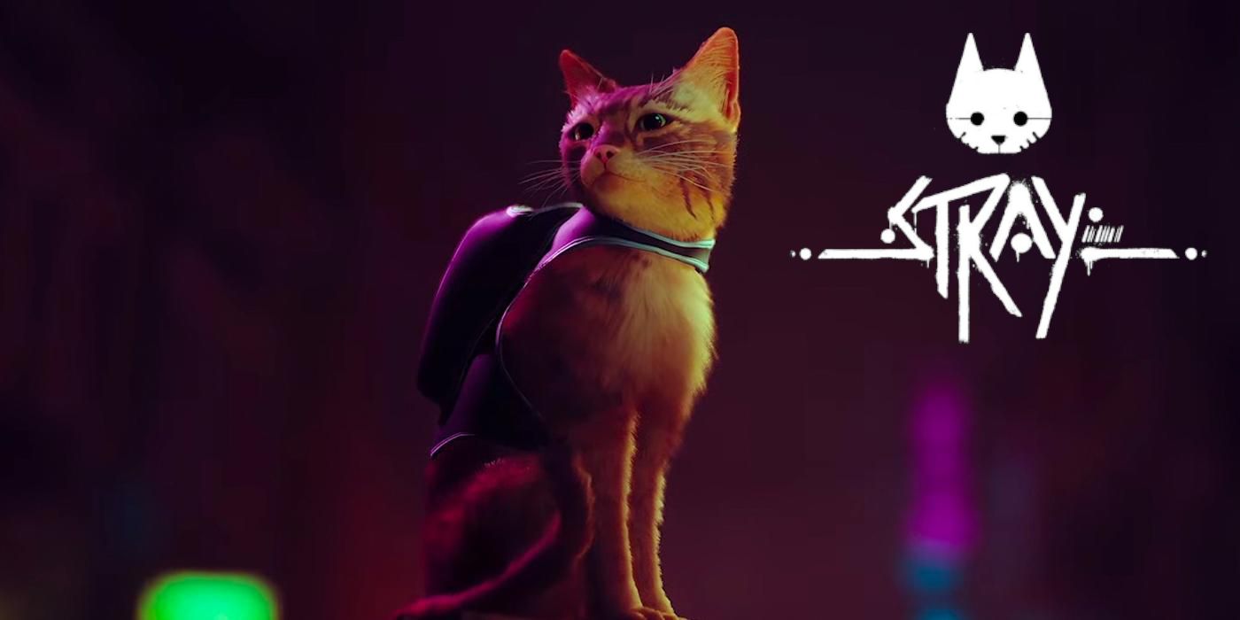 PS5 Game Stray Lets You Play As A Cat
