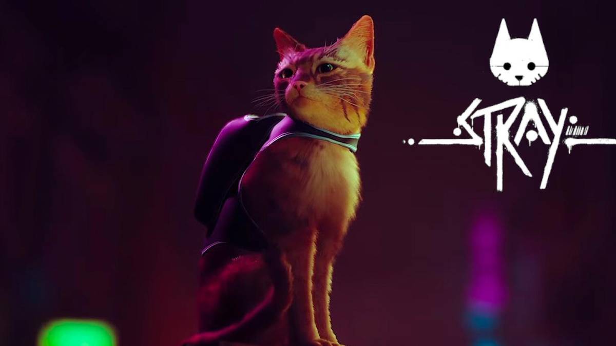 kitty cat stray ps5 reveal