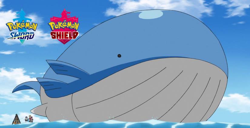 Wailord Sword and Shield Pokemon
