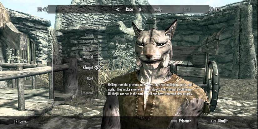 5- Skyrim Khajit
