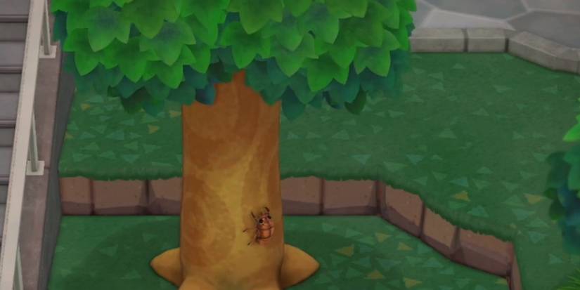 How to catch a cicada shell in Animal Crossing New Horizons