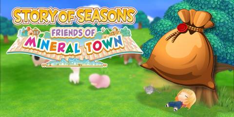 How to get more bag space in Story of Seasons: Friends of Mineral Town