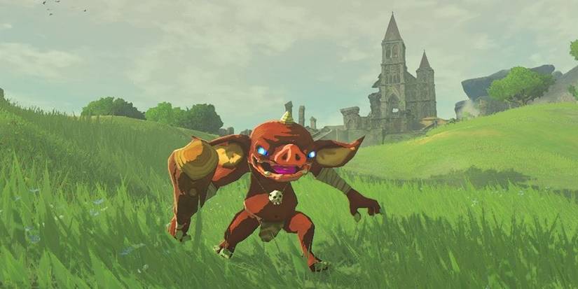 Bobokin The Legend of Zelda: Breath of the Wild: 5 Things Fans Loved (& 5 They ...
