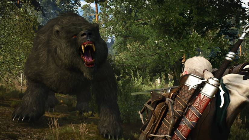 Geralt Being Confronted By A Bear