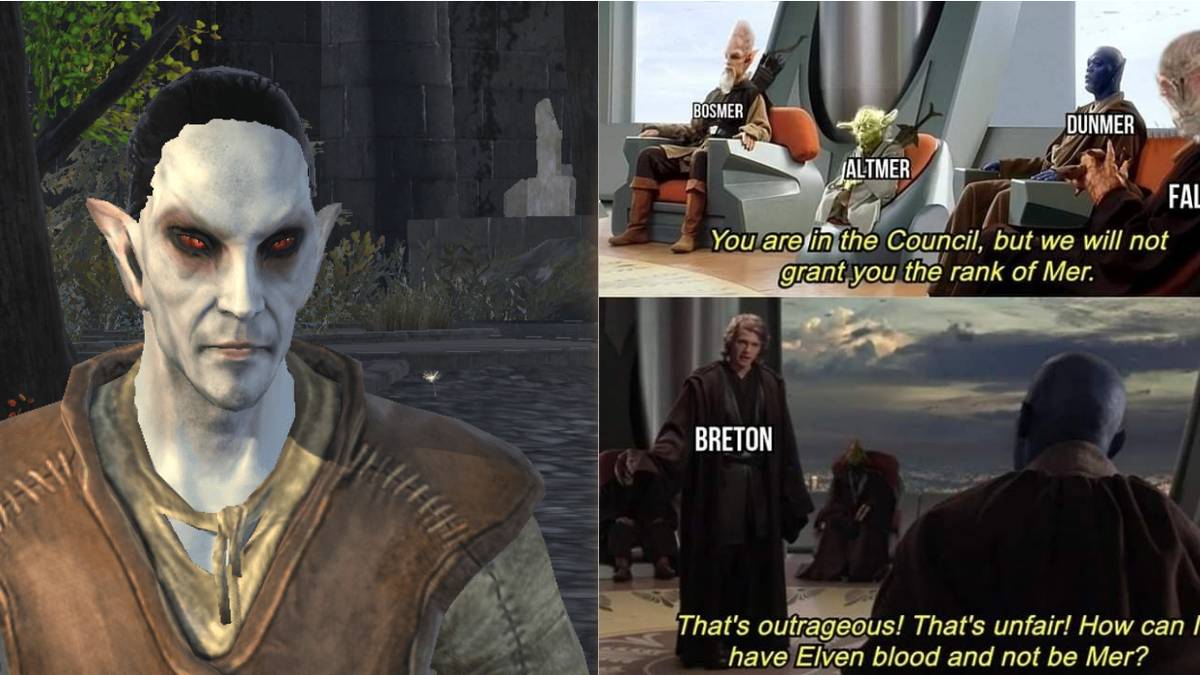 Elder Scrolls Dunmer memes
