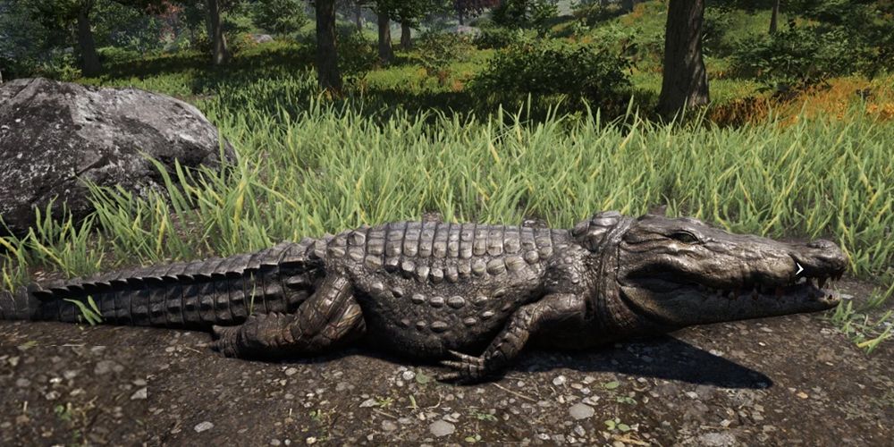 Far-Cry-4-Крокодил