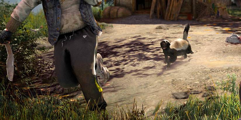 Far-Cry-4-Honey-Badger