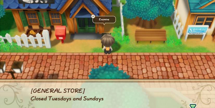 Story of Seaaons: Friends of Mineral Town General Store