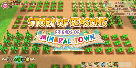 Story of Seasons: Friends of Mineral Town Seed Guide