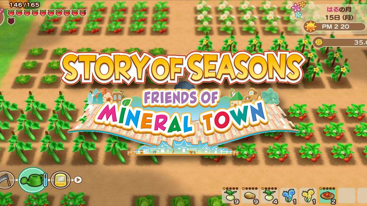 Story of Seasons: Friends of Mineral Town Seed Guide