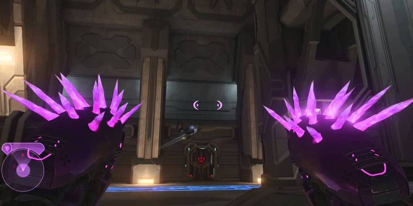 Halo 2 Needler