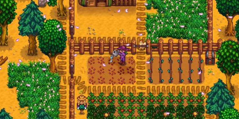 stardew valley switch port