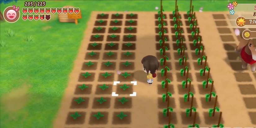 farming in harvest moon