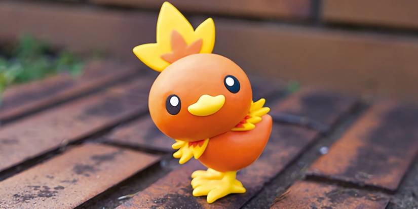 Pokemon Torchic