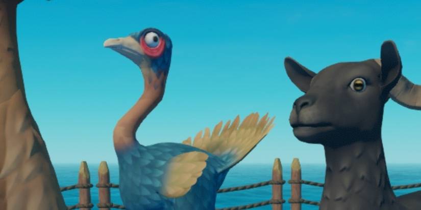 Animale Raft Raft: Everything You Need To Know About Finding Food