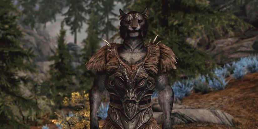 Skyrim Savior's Hide on a Khajiit character