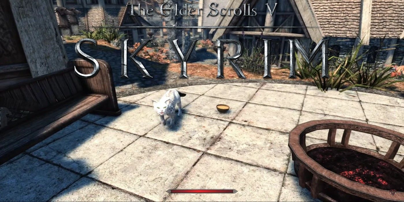 New mod allows skyrim players to train cats