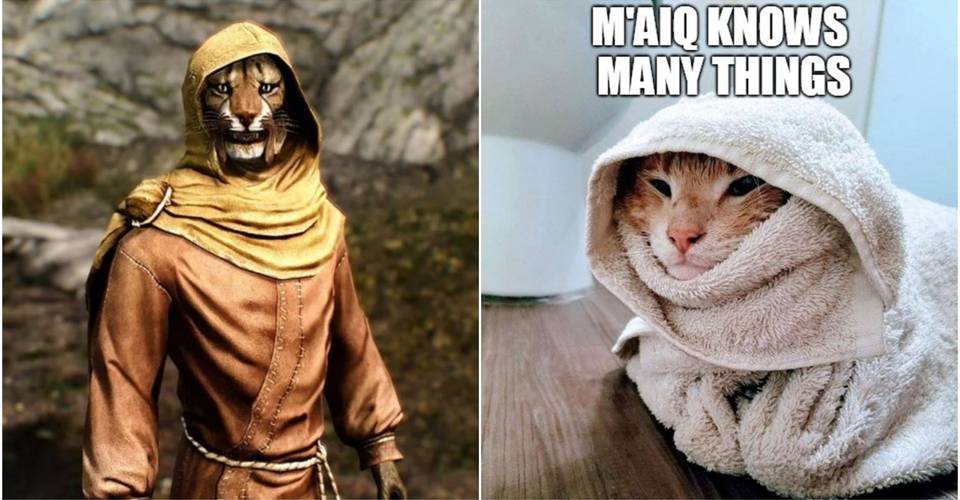 Elder Scrolls 10 Khajiit Memes That Are Hilarious If You Have Coin