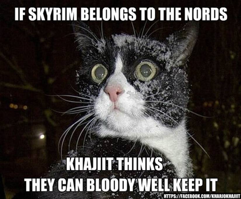 Skyrim Khajiit Cold