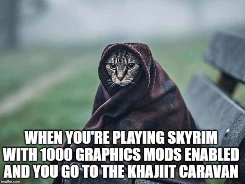 Skyrim Khajiit Graphics