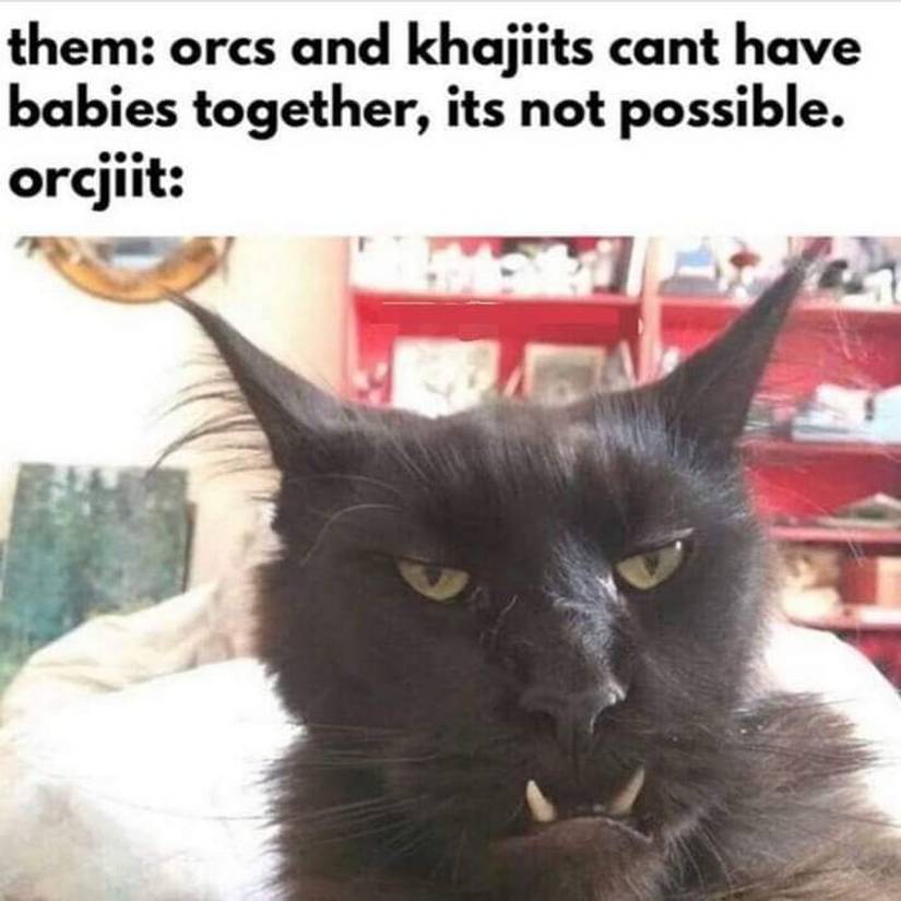 Skyrim Khajiit Orc