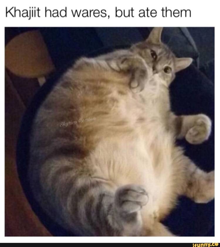 Skyrim Khajiit Round