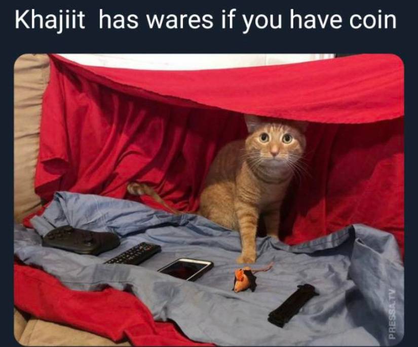 Skyrim Khajiit Wares
