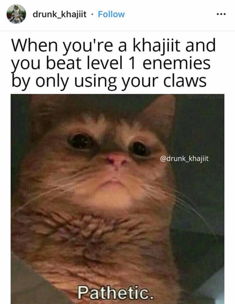 Skyrim Khajiit Winning