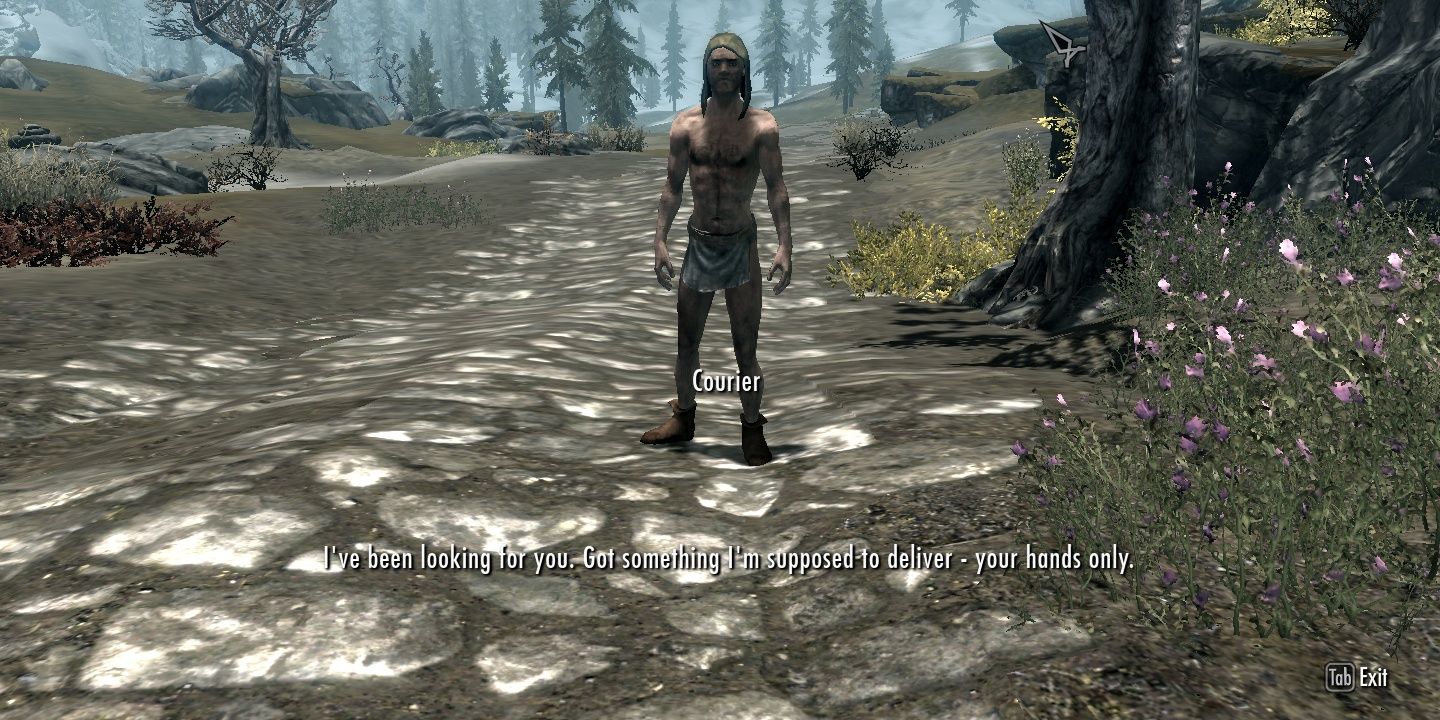 Skyrim Naked Courier