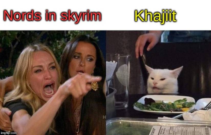 Skyrim Nords Khajiit