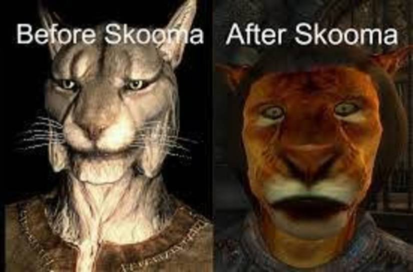 Skyrim Skooma
