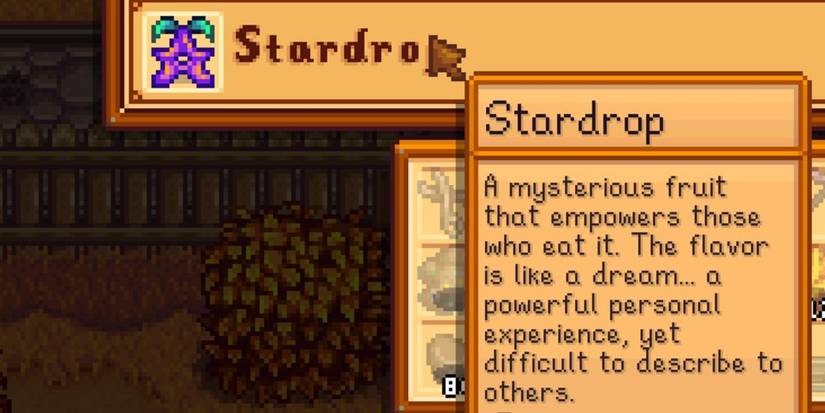 Stardew Valley Buying a Stardrop