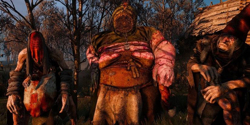 The Witcher Wild Crones