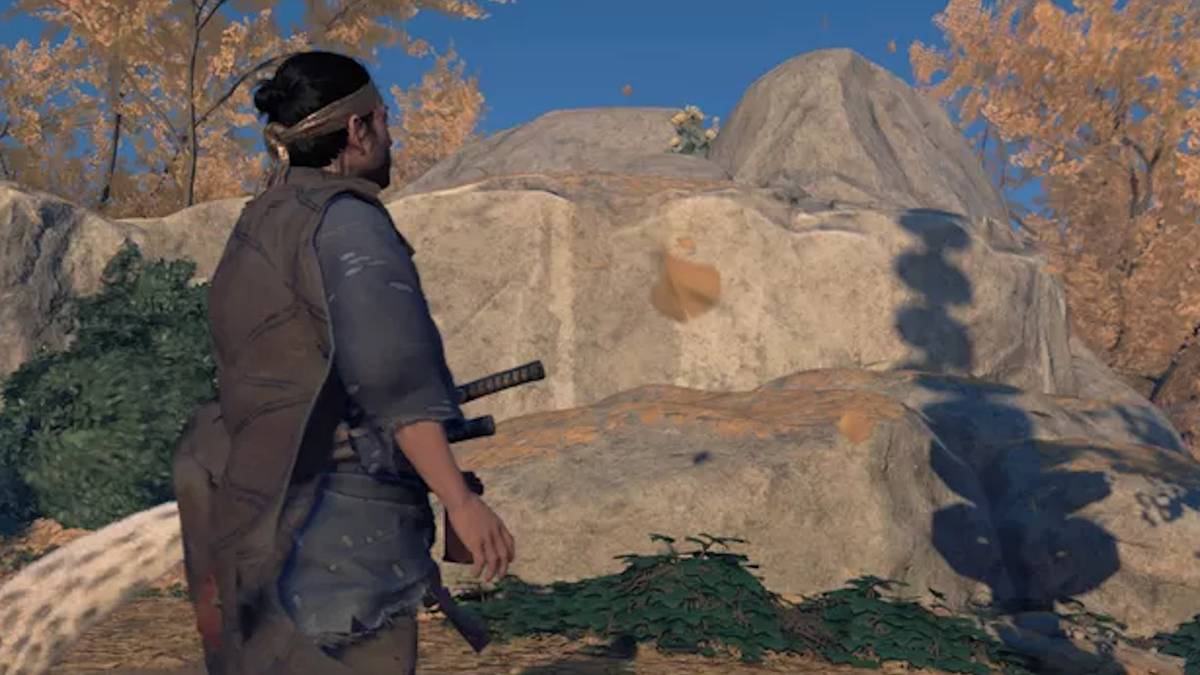 Flowers as a currency in Ghost of Tsushima