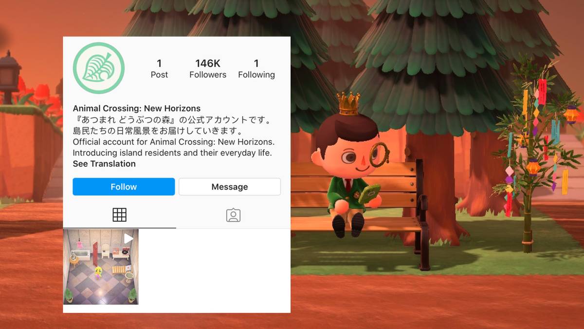 acnh nintendo social media