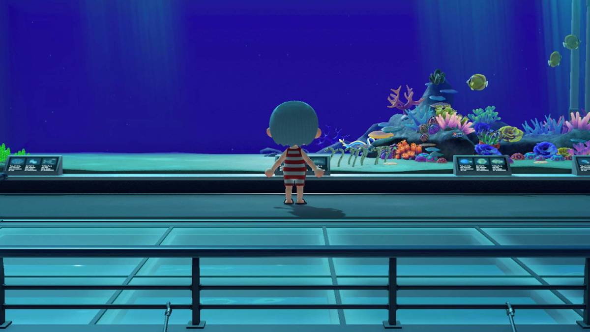 acnh sea creature completion reward